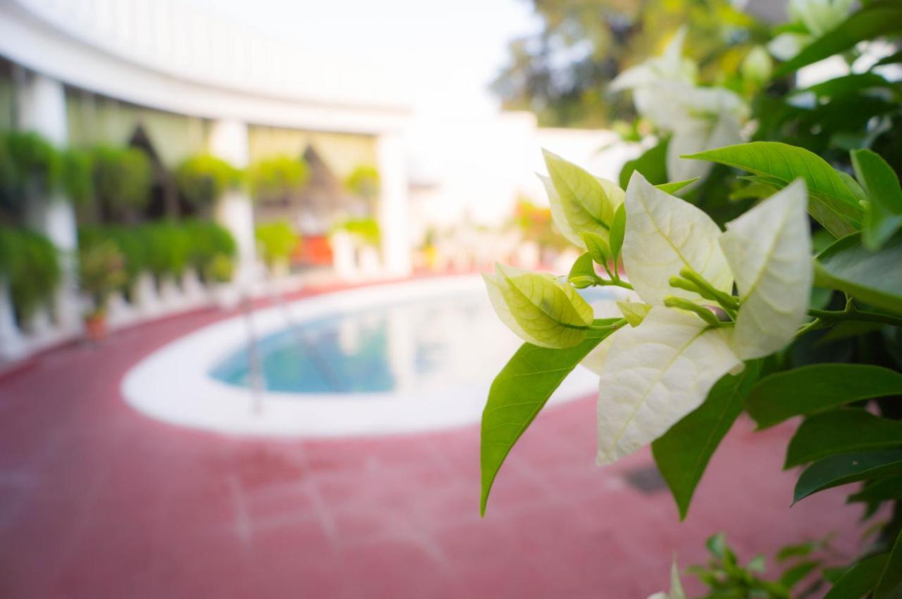 Hotel Grecia Real San Salvador Ngoại thất bức ảnh